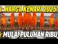 Download Lagu HARGA BURUNG KENARI 2025 CUMA MULAI PULUHAN RIBU?! DI KIOS INI BENERAN ADA!