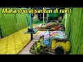 Lagu  DUA PASUTRI BERMALAM DI RUMAH APUNG||TIDUR NYENYAK DI GUYUR HUJAN DERAS.