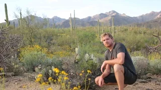 Solo Survival How To Survive Alone In The Desert Sonoran Desert Part One 