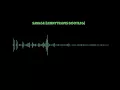 Savage (LennyTravis Bootleg)