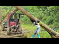 Download Lagu Agricultural vehicles and porter girls transporting wood is extremely difficult#agricultural#truck