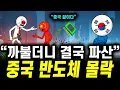 Lagu 일본에 까불다가 제대로 급소 맞은 중국, 결국 중국 반도체 파산 직전이다.