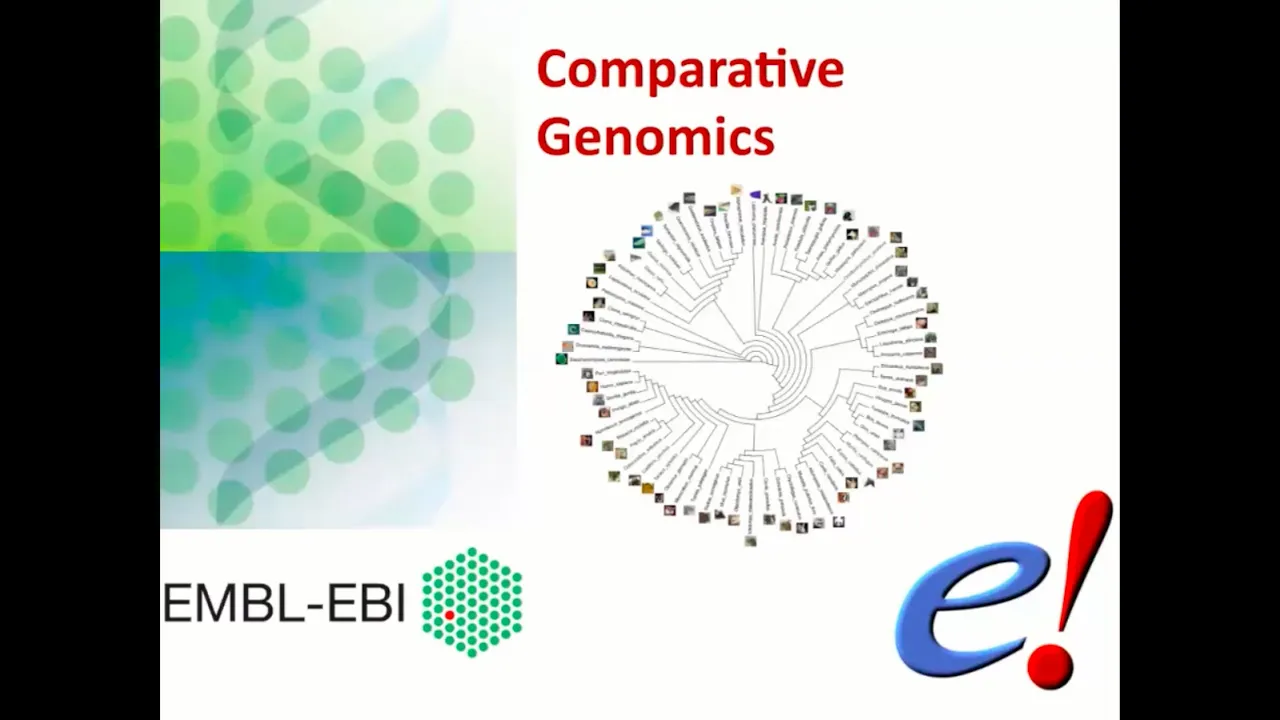 Virtual Workshop - The Ensembl Genome Browser - (2021): Webinar 4 - Comparative Genomics