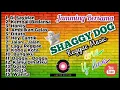 Download Lagu Album shaggy dog