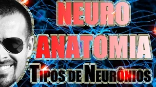 Tipos de neurônios: Multipolar, Bipolar e Pseudo-Unipolar - Sistema Nervoso - Vídeo Aula 090