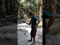 Download Lagu pikat Kacer di kebun sawit hari ke 2 dapat Kacer bodi besar #shorts