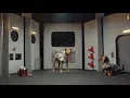 Invasion of the Space Squirrels August 2017 s BarkBox Theme
