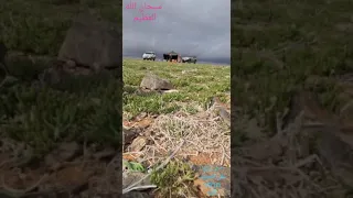 خذ القناعة من دنياك وارضى بها 