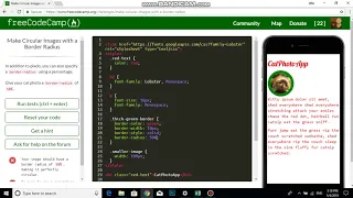 Make Circular Images with a Border Radius Free Code Camp
