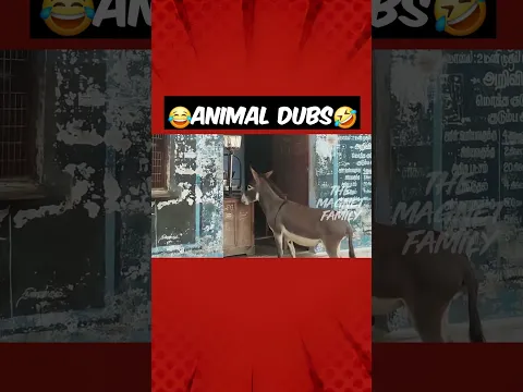 நியாயமான கடை-யா இது‼️😂😭 #magnetbytes #funnydubbing #animalfunny #iphone #ration #donkey