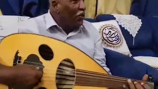 ابوبكر سيداحمد 