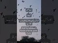 Download Lagu Surah Al Feel | Surah Al Fil | #shorts #ytshorts #youtubeshorts #surahfeel #surahfil #viral
