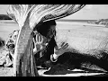 Making of the Whale Tail Fin Timelapse