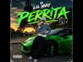 Lil naay perrita
