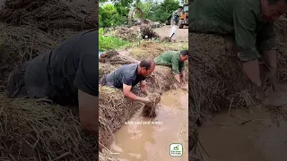 An Ancient Technique Of Building Houses Using Mud And Grass 