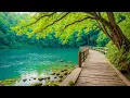 Lagu All Your Worries Will Disappear If You Listen To This Music🌿 Relaxing Music Calms The Nerves #1