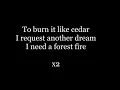 James Blake I Need A Forest Fire ft. Bon Iver (Official audio and lyrics)