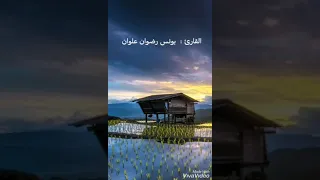 القارئ يونس رضوان علوان  القارئ يونس رضوان علوان