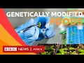 Download Lagu What is genetically modified food? - BBC What's New