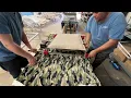 Sling Fabric Replacement Installation for Outdoor Furniture Chaise Lounge