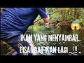 Download Lagu \