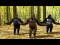 Download Lagu Kingkong berGoyang