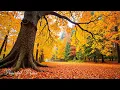 Download Lagu Calming Piano Music 🍁 Calming Autumn Melody for Soul Healing, Comfort, and Emotional Balance