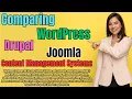 Comparing WordPress Drupal and Joomla in 2024