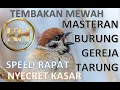 Download Lagu MASTERAN GEREJA TARUNG  NYECRET KASAR DAN RAPAT