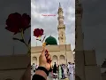 Download Lagu ya Raby Mustafa TU muja Hajj pa buala #shortsfeed #shorts #naatsharif #viral