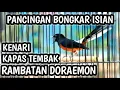 Download Lagu PANCINGAN MURAI BATU GACOR TEMBAKAN RAMBATAN DORAEMON KAPAS TEMBAK KENARI, AMPUH LANGSUNG EMOSI MP3