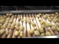 Frito Lay Production Process