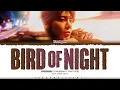 TAEHYUN (TXT) 'Bird of Night' Lyrics (투모로우바이투게더 Bird of Night 가사) [Color Coded Han_Rom_Eng]