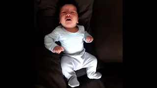 Meu dengoso