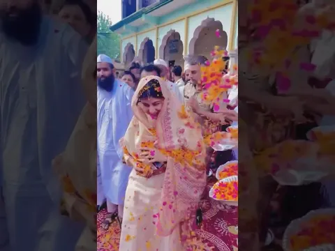 सपा सांसद इक़रा हसन का फूलों से जोरदार स्वागत किया गया। #viralvideo #rahulgandhi #congress #shortvide