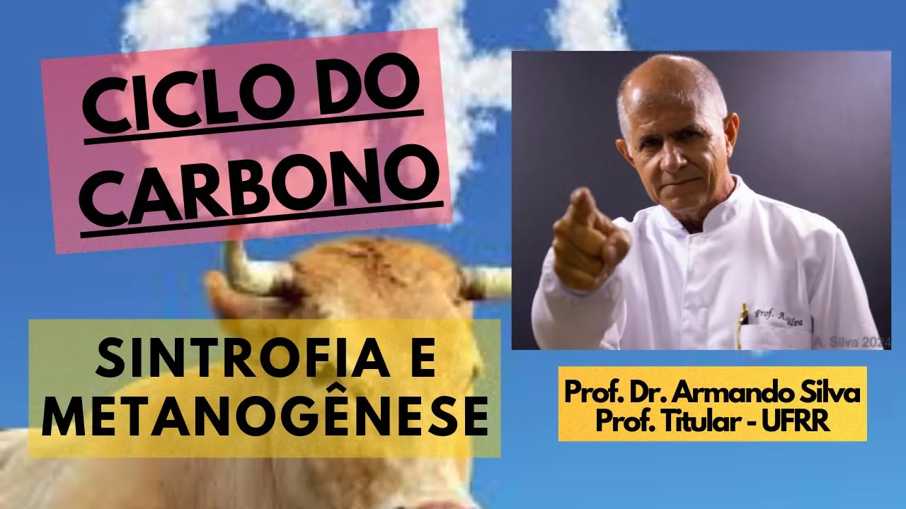 Ciclo do Carbono - Sintrofia e Metanogênese
