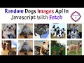 Javascript Random Dog Images API With Fetch Method By NonTechBg