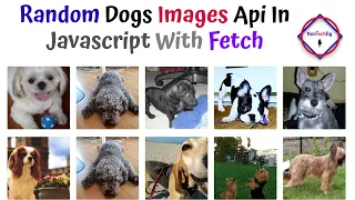 Javascript Random Dog Images API With Fetch Method By NonTechBg
