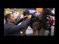 TSE WATERPROOF K9 CAMERA