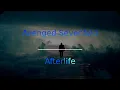 Avenged Sevenfold - Afterlife - Instrumental Cover #avanged7fold #avengedsevenfold