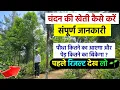 Download Lagu चंदन की खेती की पूरी जानकारी | पौधा कितने का आएगा और पेड़ कितने का बिकेगा | sandalwood tree farming