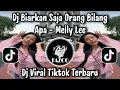 Lagu DJ KAMU ISTIMEWA / DJ BIARKAN SAJA ORANG BILANG APA - MELLY LEE VIRAL TIKTOK TERBARU 2025 
