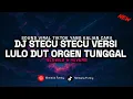 Lagu DJ STECU STECU VERSI ORGEN TUNGGAL BY DAYMA PROJECT VIRAL TIKTOK TERBARU 2025!! (Slowed \u0026 Reverb)