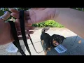 AKC Scentwork Advanced Buried Search First Place
