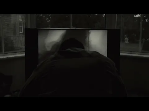 'PIGS' TRAILER