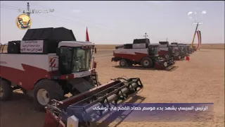 الرئيس السيسي يعطي إشارة بدء موسم حصاد القمح في توشكى 