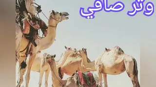 وتر صافي  دندنها
