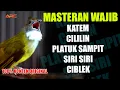 Lagu KOMBINASI MASTERAN SUPER MEWAH | CILILIN - KATEM - JENGGOT - CUNGKO - KENARI - PLATUK - LOVEBIRD