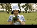 Miranda Perfecta - Version Portugués