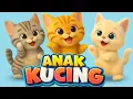 Lagu LAGU ANAK 🇮🇩 ANAK KUCING MEONG MEONG - KITTEN SONG - LAGU ANAK BALITA VIRAL